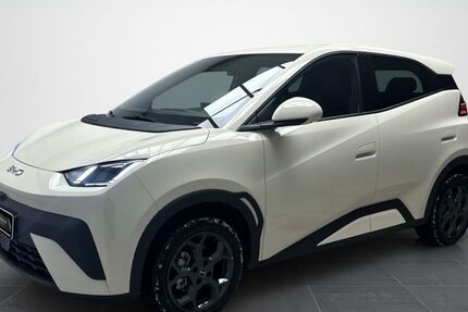 BYD DOLPHIN SURF 3.500 km 24.790 &euro; Moenchengladbach 41063