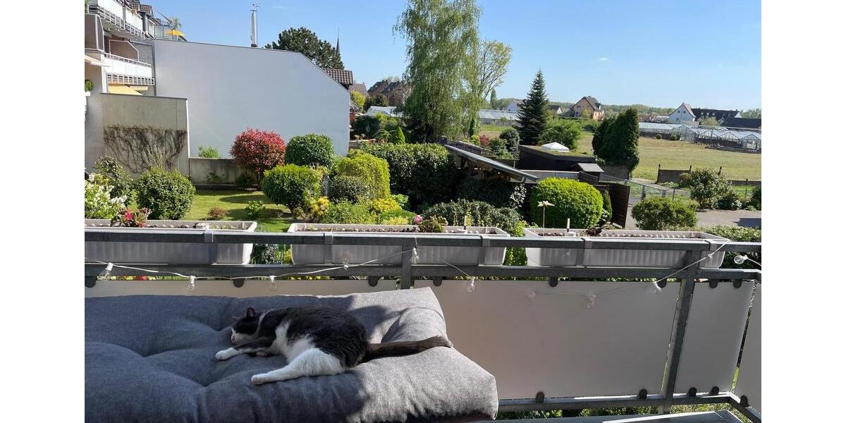 Etagenwohnung Düsseldorf Stadtbezirk 3 - 2 Zimmer, 93 m&sup2;, 520.000&euro; | Angebot:27295888