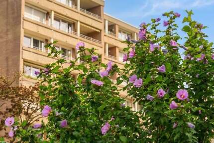 Wohnung Neuss Reuschenberg - 1.5 Zimmer, 44 m&sup2;, 125.000&euro; | Angebot:27254389