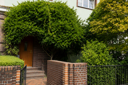 Wohnung Düsseldorf Golzheim - 5 Zimmer, 226 m&sup2;, 3.600&euro; | Angebot:27440021