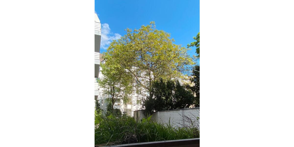 Gewerbeobjekt Düsseldorf Pempelfort - 330&euro; | Angebot:12016555