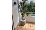 Etagenwohnung Düsseldorf Stadtbezirk 5 - 1 Zimmer, 40 m&sup2;, 295.000&euro; | Angebot:26677852