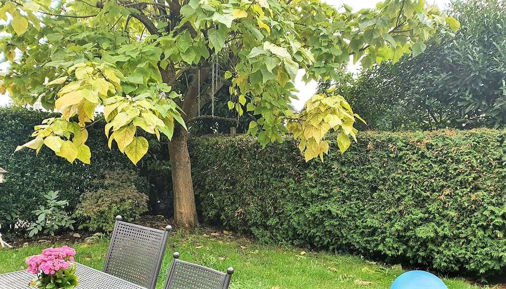 Etagenwohnung Düsseldorf Stadtbezirk 5 - 3 Zimmer, 120 m&sup2;, 585.000&euro; | Angebot:27480212