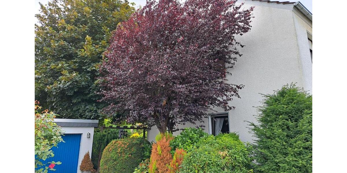 Reihenhaus Grevenbroich - 5 Zimmer, 171 m&sup2;, 369.000&euro; | Angebot:26872081