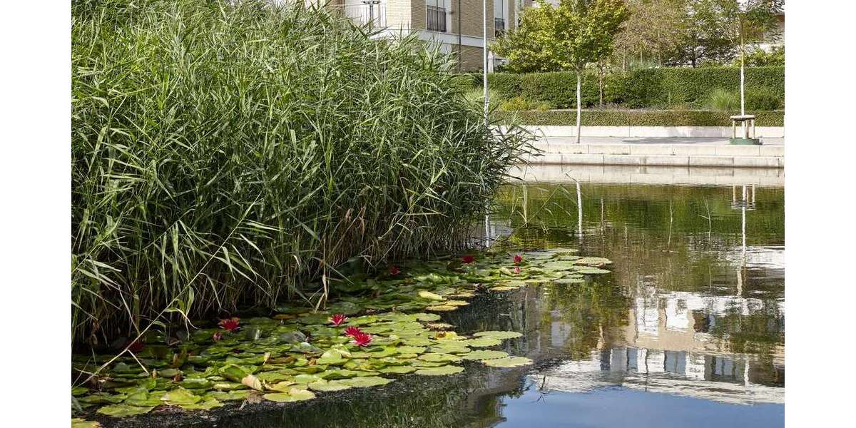 Gewerbeobjekt Düsseldorf Oberkassel - 1.395.000&euro; | Angebot:26514943