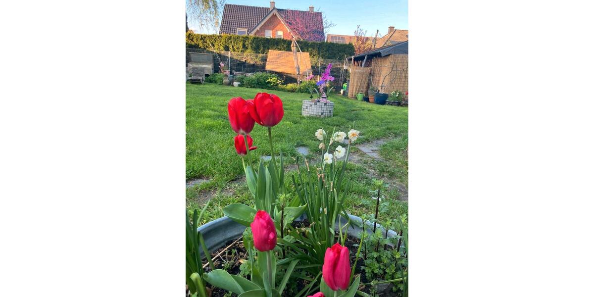 Einfamilienhaus Nettetal - 8 Zimmer, 200 m&sup2;, 449.000&euro; | Angebot:27285252