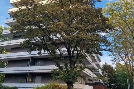 Wohnung Düsseldorf Lörick - 3 Zimmer, 75 m&sup2;, 299.000&euro; | Angebot:27496198
